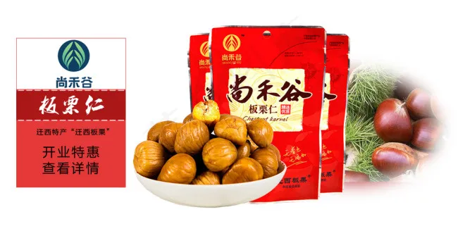 板栗海报psd模版下载