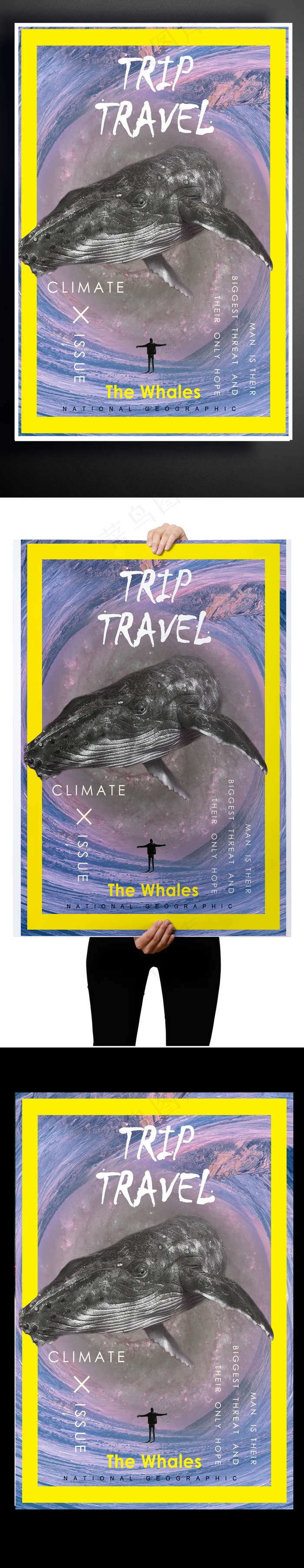 2017海报国家地理海报设计鲸鱼旅...