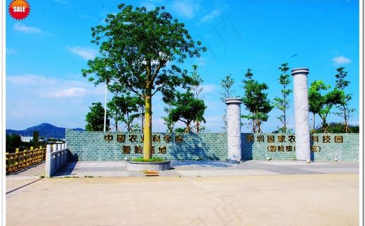 中国农业科学院碧岭基图片