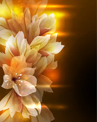 幻彩唯美透光鲜花矢量素材