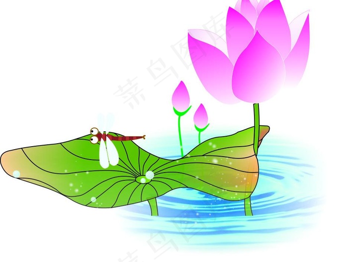 荷花素材图片cdr矢量模版下载