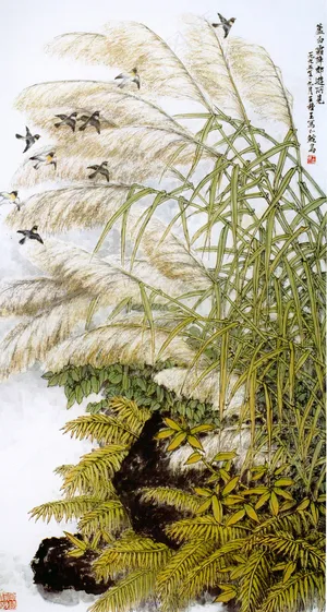 芦白霜降