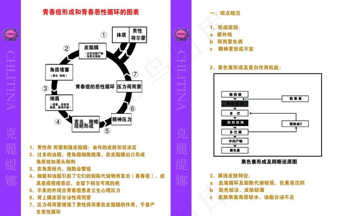 青春痘形成和青春恶性循环的图表图片
