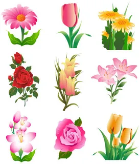 春天的花 春天的花