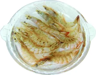 虾图片素材下载