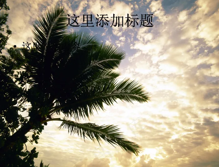 海滩天空椰树2