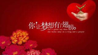 你让梦想有了翅膀图片