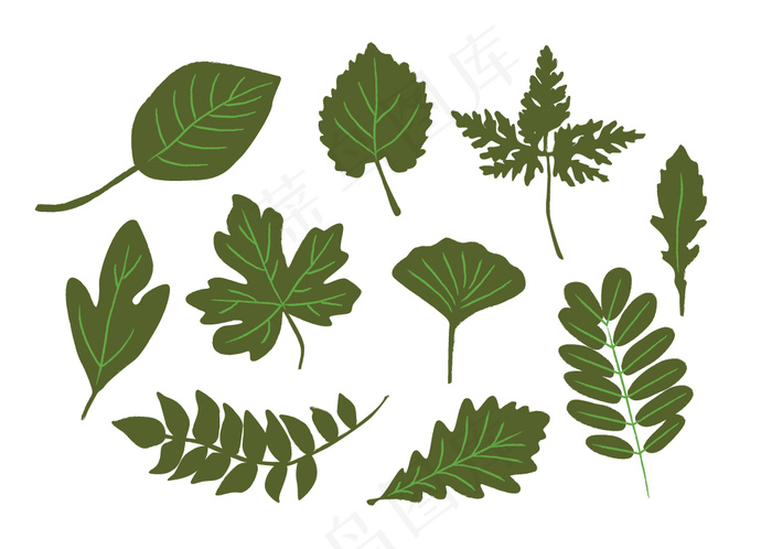 植物叶子矢量图形素材AI格式