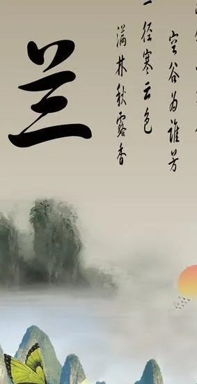 兰花图片