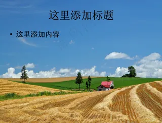 北海道：富良野与美瑛田园草原摄影...