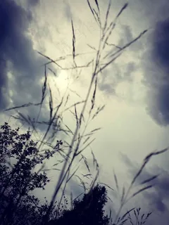 阴天 阴天