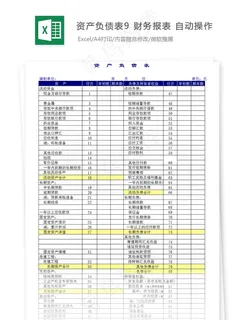 资产负债表9 财务报表 自动操作 资产负债表9 财务报表 自动操作
