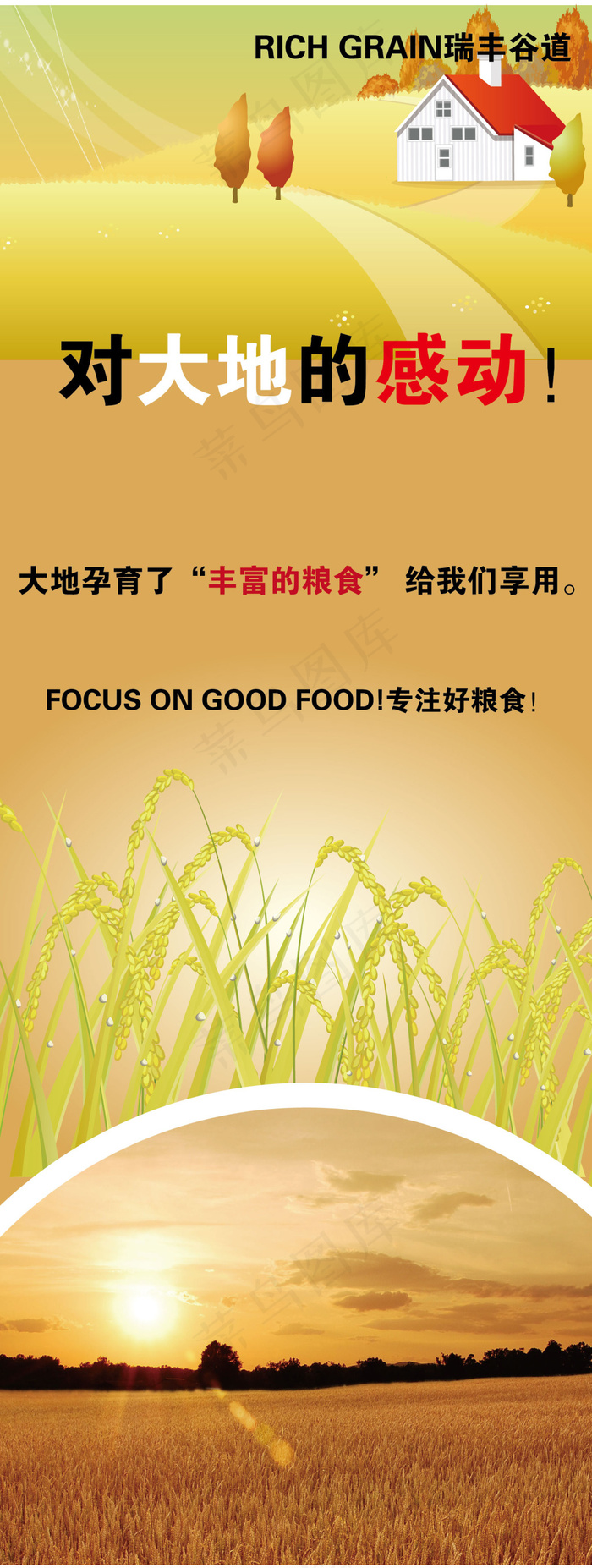 稻谷易拉宝设计