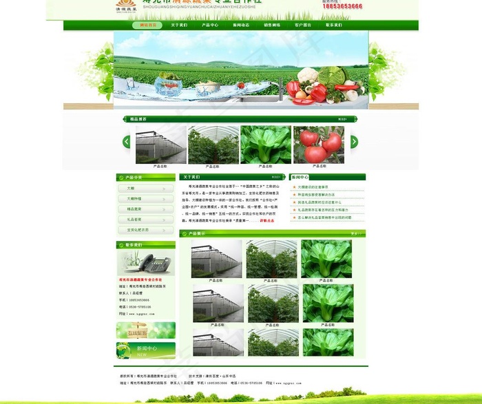 清源蔬菜专业合作社图片psd模版下载