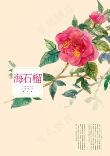 各种花的背景素材