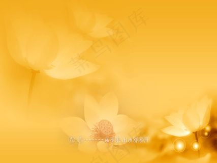 唯美荷花高清背景素材