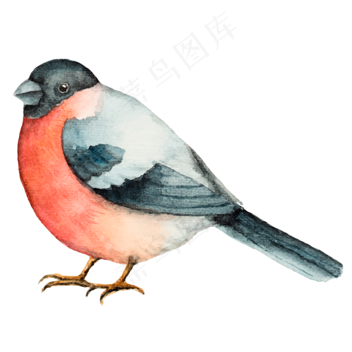 卡通手绘动物鸟PNG素材