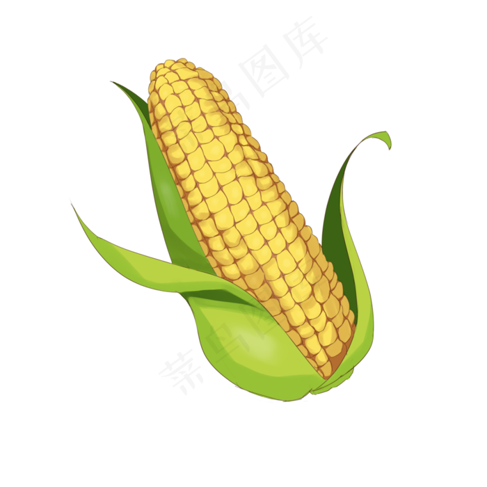 手绘一穗玉米插画手绘一穗玉米插画