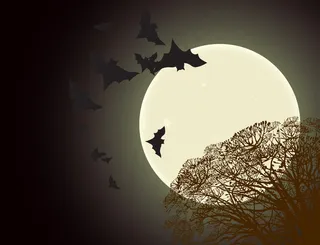 万圣节海报矢量