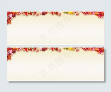 淘宝花朵背景大图8