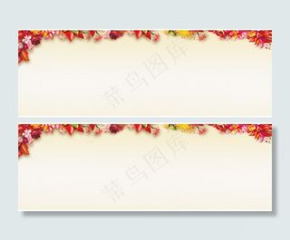 淘宝花朵背景大图8