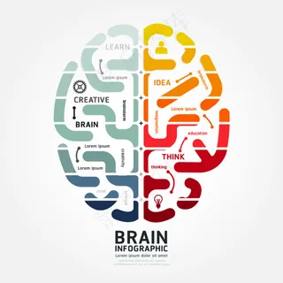 智能大脑分类矢量素材