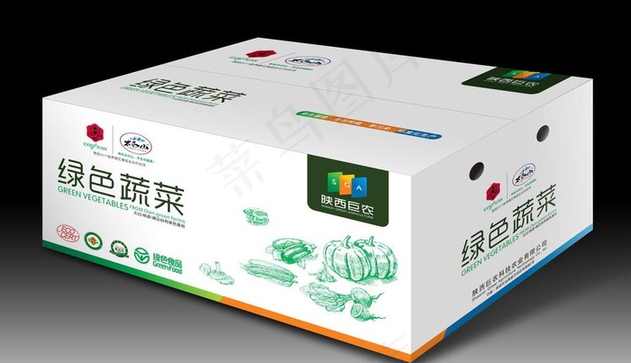 绿色蔬菜盒子设计 (展开图)图片cdr矢量模版下载