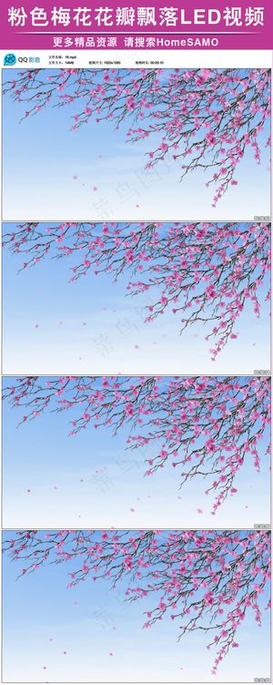 粉色梅花花瓣飘落动态led背景视频...