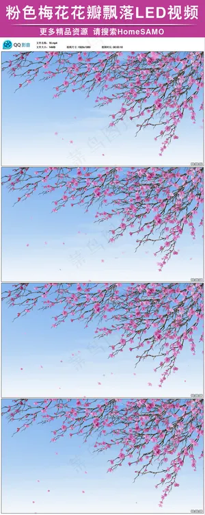 粉色梅花花瓣飘落动态led背景视频... 粉色梅花花瓣飘落动态led背景视频...