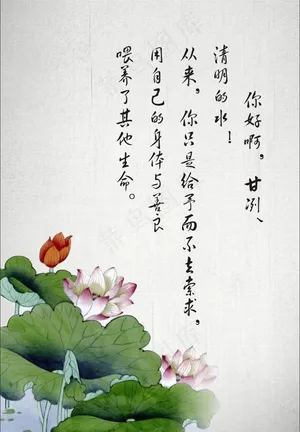 中国风水墨荷花图片