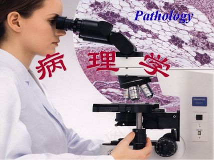 病理学绪论