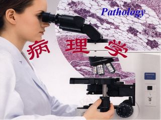 病理学绪论