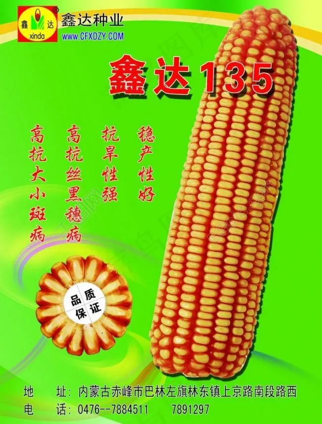 玉米图片(2244X3130(DPI:300))psd模版下载