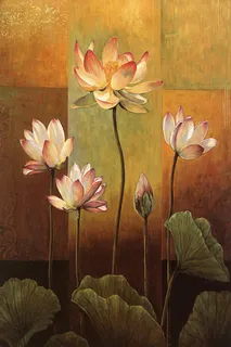 国画荷花 国画荷花