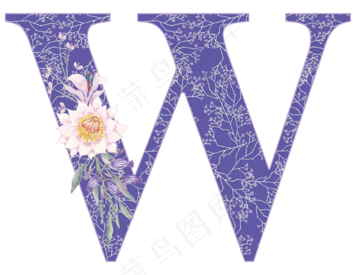 字母w
