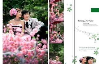 为你等待 韩国风 婚纱模板图片