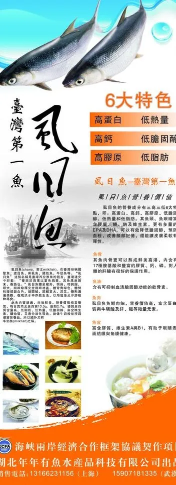 虱目鱼易拉宝图片(800X2000)cdr矢量模版下载