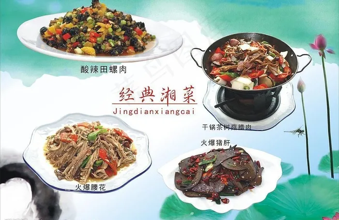 菜图与荷花图片cdr矢量模版下载