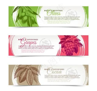 餐饮葡萄横幅图片