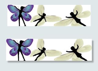 蝴蝶 蝴蝶翅膀图片