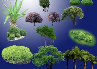 ps后期各种灌木分层图片