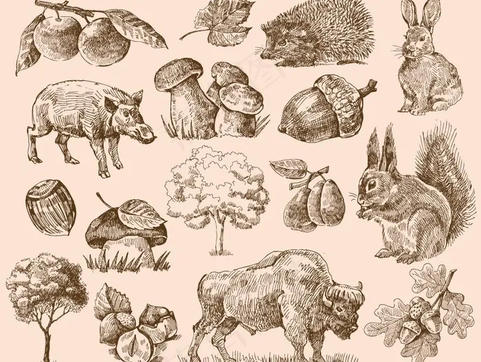 手绘动物植物图片eps,ai矢量模版下载