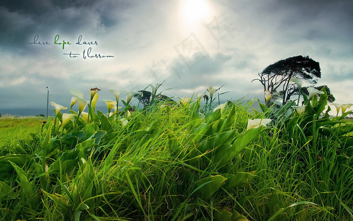 高清电脑桌面背景壁纸