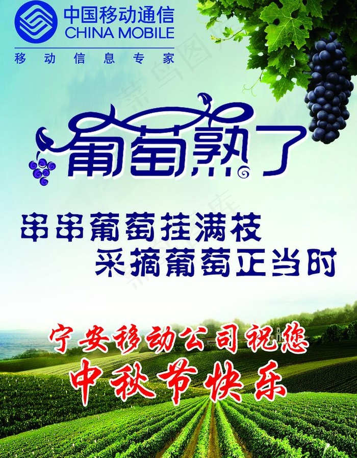 葡萄图片(2480X3366(DPI:300))psd模版下载