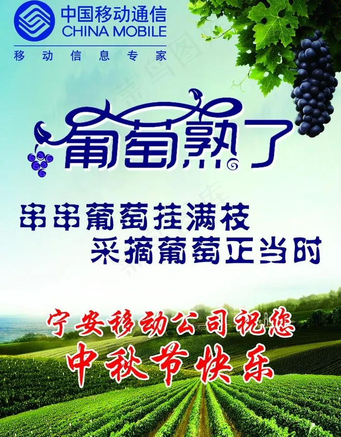 葡萄图片(2480X3366(DPI:300))psd模版下载