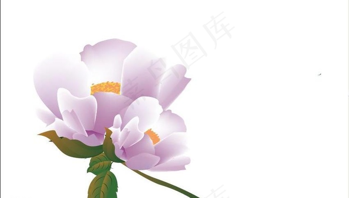 矢量花图片ai矢量模版下载