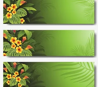 热带植物的绿色旗帜矢量集