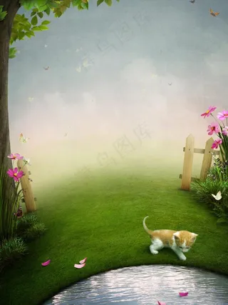 草地小猫图片