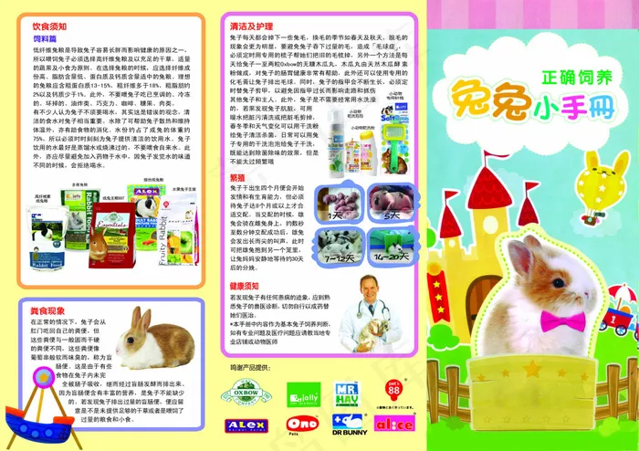 兔兔小手册psd模版下载