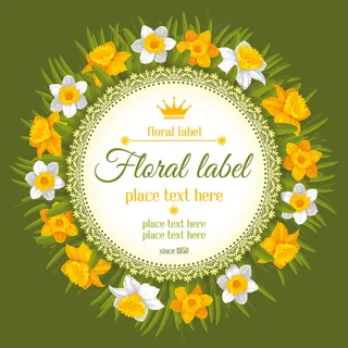 时尚牡丹蝴蝶兰百合水仙鲜花花卡